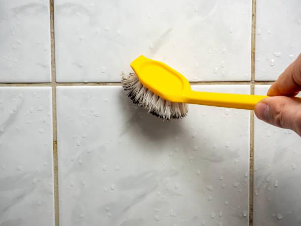 Best Black Mold Remediation in Palos Park, IL