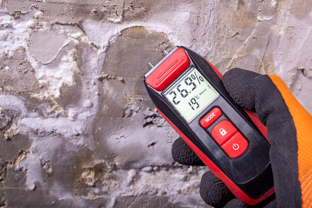 Reliable Palos Park, IL Mold Remediation Solutions
